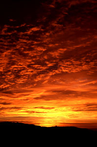Color Therapy 10
